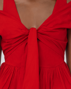 Usha Peplum Top